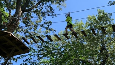 Walking the planks at Go Ape